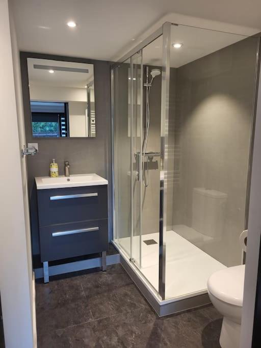 Le Bellevue Apartment Epagny Metz-Tessy Екстериор снимка
